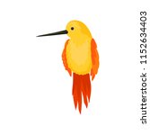 Flat vector icon of beautiful hummingbird. Yellow colibri bird with long thin beak, orange wings and tail. Wildlife and fauna theme