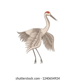 Flat vector icon of beautiful red-crowned crane. Bird with long beak, legs and neck. Wildlife theme