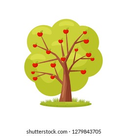 Flat vector icon of big green tree with red apples. Natural landscape element. Farm garden theme