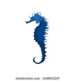 Flat vector icon of blue seahorse. Exotic marine creature. Small sea animal. Underwater life theme