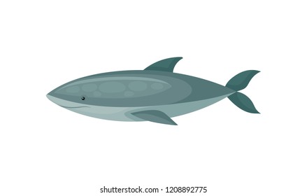 Flat vector icon of blue shark. Long-bodied marine fish. Sea and ocean life theme
