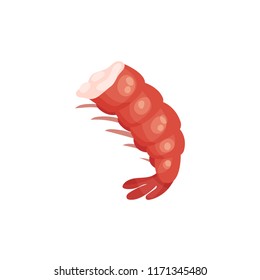 Flat vector icon of boiled shrimp without head. Tasty prawn in bright red shell. Fresh seafood