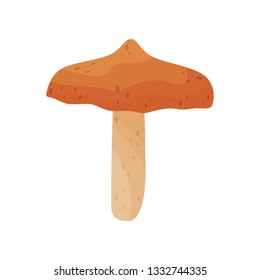 Flat vector icon of boletus. Edible mushroom with brown cap. Natural product. Forest plant
