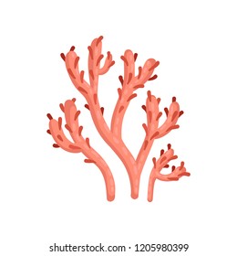 Flat vector icon of bright red soft coral. Plant of tropical waters. Marine ecosystem. Sea and ocean life