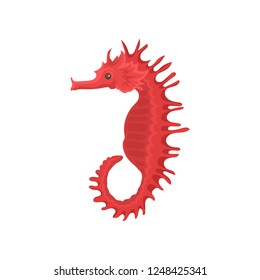 Flat vector icon of bright red seahorse, side view. Exotic sea animal. Marine creature. Underwater life