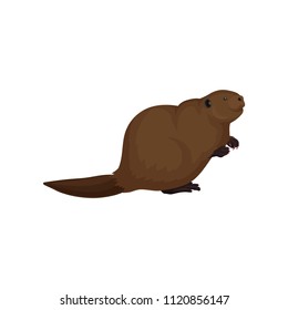 Flat vector icon of brown beaver. Large forest rodent with broad tail, small ears and Wildlife theme. Element for book or poster