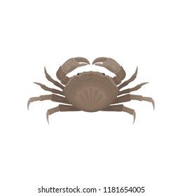 Flat vector icon of brown crab. Marine animal with big claws. Decorative element for poster, cafe or restaurant menu