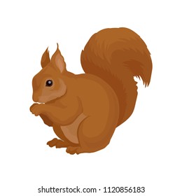 Flat vector icon of brown squirrel. Forest rodent with shiny eye and big fluffy tail. Wildlife theme. Element for book or poster