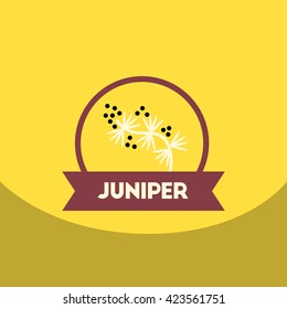 flat vector icon design collection Kitchenware seasoning juniper