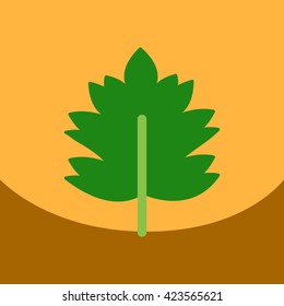 flat vector icon design collection leaf of tree