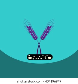 flat vector icon design collection  ears of wheat