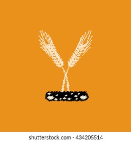 flat vector icon design collection  ears of wheat