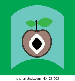 flat vector icon design collection delicious fruit