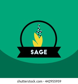 flat vector icon design collection  Kitchenware seasoning sage