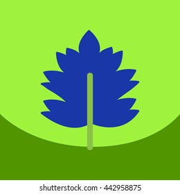 flat vector icon design collection  leaf of tree