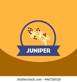 flat vector icon design collection  Kitchenware seasoning juniper