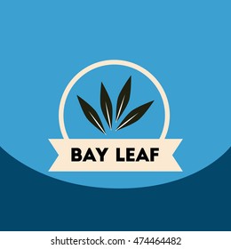 flat vector icon design collection  Kitchenware seasoning bay leaf