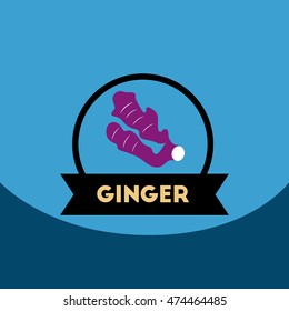 flat vector icon design collection  Kitchenware seasoning ginger