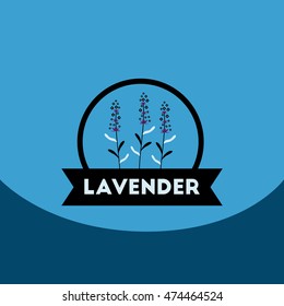 flat vector icon design collection  Kitchenware seasoning lavender