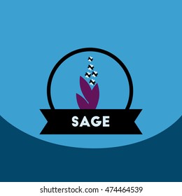 flat vector icon design collection  Kitchenware seasoning sage