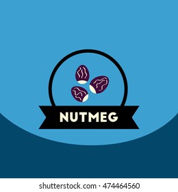 flat vector icon design collection  Kitchenware seasoning nutmeg