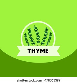 flat vector icon design collection  Kitchenware seasoning thyme