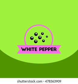 flat vector icon design collection  Kitchenware seasoning white pepper