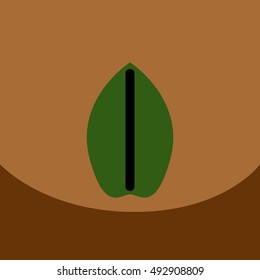 flat vector icon design collection  leaf of tree