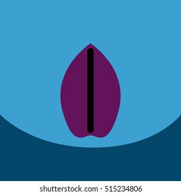 flat vector icon design collection leaf of tree