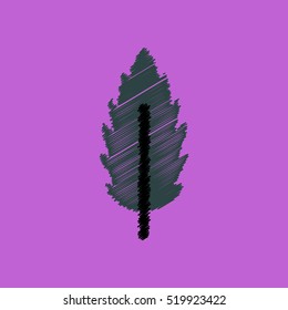 flat vector icon design collection leaf of tree