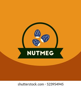 flat vector icon design collection Kitchenware seasoning nutmeg