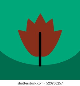 flat vector icon design collection leaf of tree