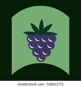 flat vector icon design collection delicious fruit
