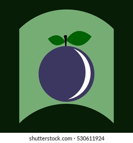flat vector icon design collection delicious fruit