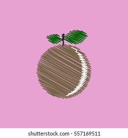flat vector icon design collection delicious fruit