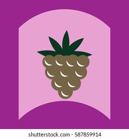 flat vector icon design collection delicious fruit