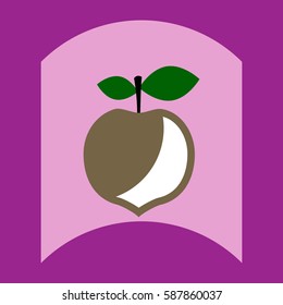 flat vector icon design collection delicious fruit
