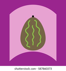 flat vector icon design collection delicious fruit