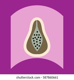 flat vector icon design collection delicious fruit