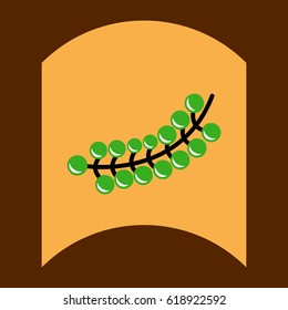 flat vector icon design collection delicious fruit