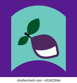 flat vector icon design collection delicious fruit
