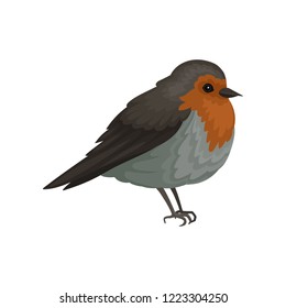 Flat vector icon of European robin. Small songbird with bright red mask, brown wings ans gray belly