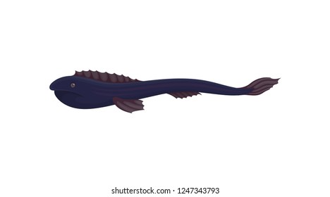 Flat vector icon of fish with long tail and small fins, side view. Predatory marine animal. Sea creature