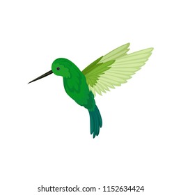 Flat vector icon of flying colibri. Small tropical hummingbird with long thin beak and bright green feathers. Wildlife theme