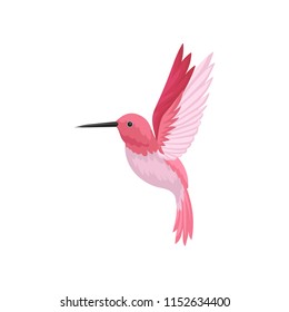 Flat vector icon of flying hummingbird. Colibri with pink feathers and long thin beak. Wildlife and fauna theme