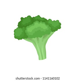 Flat vector icon of fresh broccoli. Organic food. Natural green vegetable. Healthy ingredient for vegetarian dish