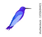Flat vector icon of gorgeous blue colibri. Tropical bird with long beak. Fauna theme