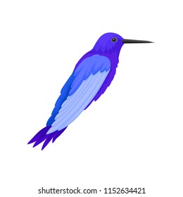 Flat vector icon of gorgeous blue colibri. Tropical bird with long beak. Fauna theme