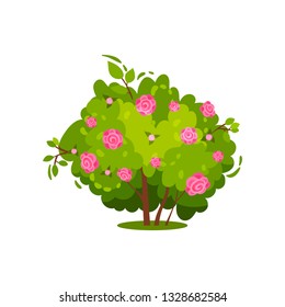 Flat vector icon of green bush with gentle pink roses. Beautiful garden flowers. Nature theme. Landscape element