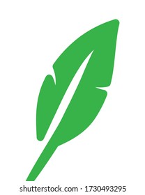 Flat vector icon green feather isolated on white background.